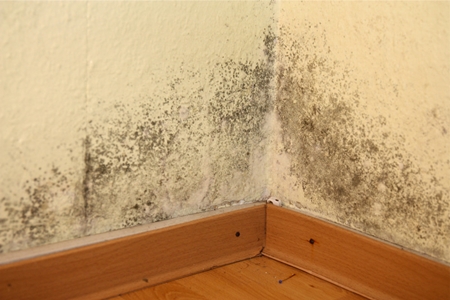 전주 주택 아파트 공장 결로검사 결로공사 시공업체M